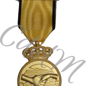 Medalla Conmemorativa DANA 2024-Operaciones de Emergencia